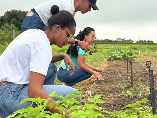 72ea9aba 9dfa 437f bae1 e0426cc4e9cc