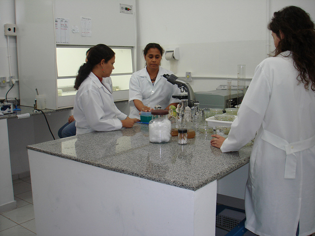 7830963624 047d6bd4e9 z