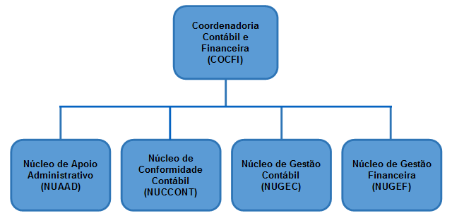 organograma COCFI 20