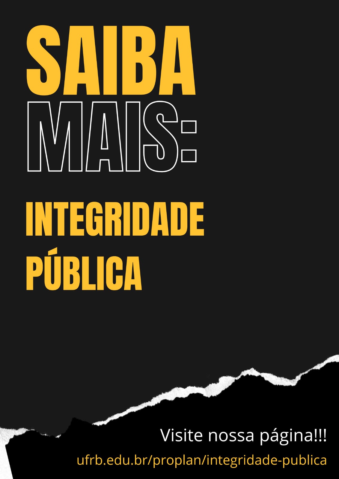 Saiba mais: Integridade Pública